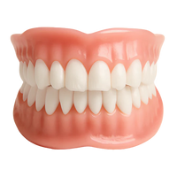 🦷Classic White