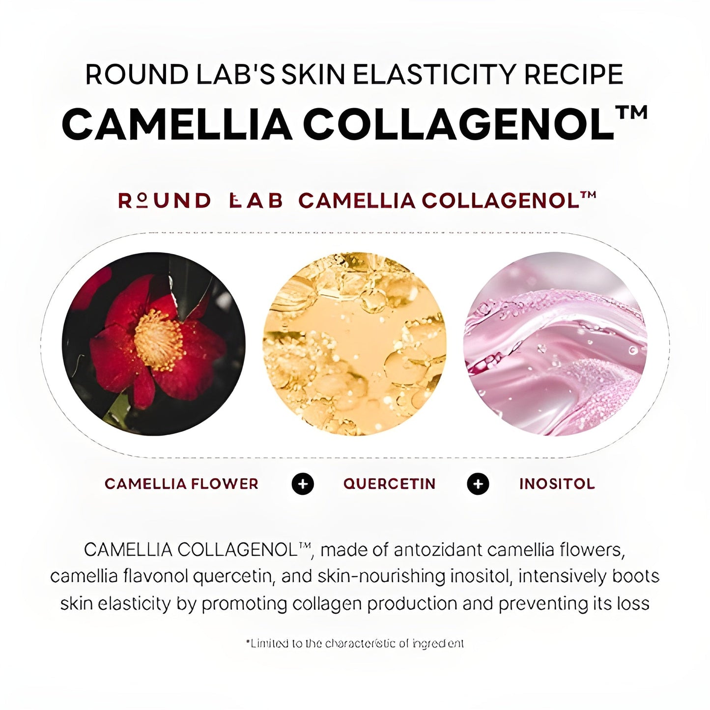 Camellia Deep Collagen V Lifting Gel Mask