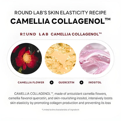 Camellia Deep Collagen V Lifting Gel Mask